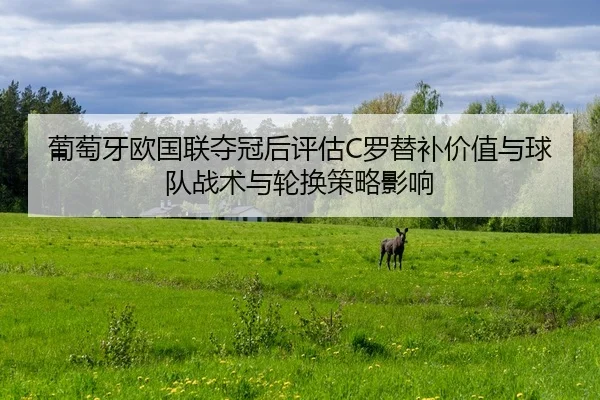 pu-tao-ya-ou-guo-lian-duo-guan-hou-ping-gu-luo-ti-bu-jia-zhi-yu-qiu-dui-zhan-shu-yu-lun-huan-ce-lve-ying-xiang-2-317.jpg