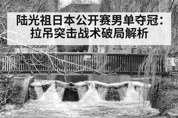 陆光祖日本公开赛男单夺冠：拉吊突击战术破局解析